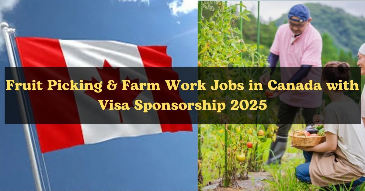 Fruit Picking & Farm Work Jobs in Canada with Visa Sponsorship 2025