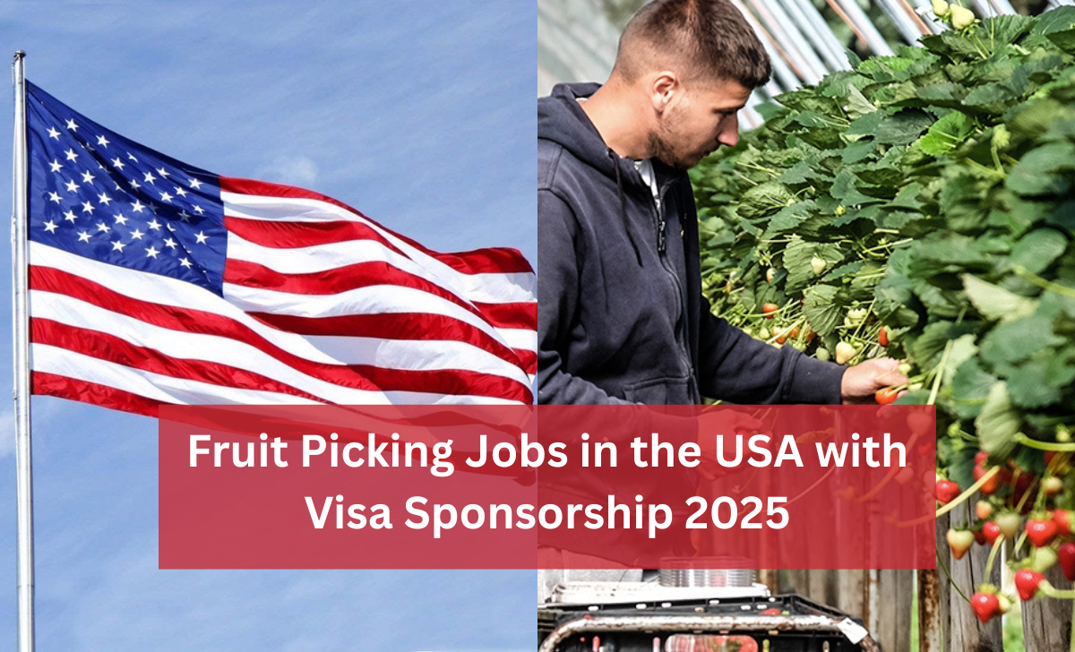 Fruit Picking Jobs in the USA with Visa Sponsorship 2025