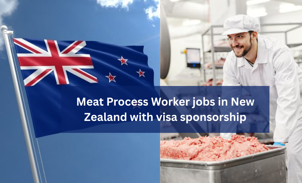 Meat Process Worker Jobs in New Zealand with Visa Sponsorship 2025