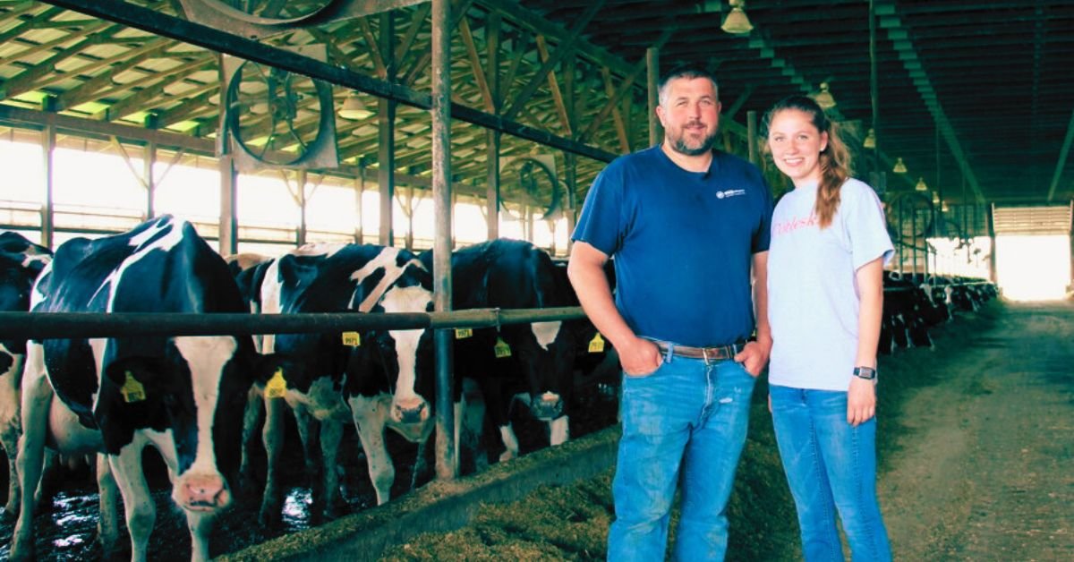 New Zealand Dairy Farm Jobs with Visa Sponsorship 2025: Apply Now 2 New Zealand Dairy Farm Jobs with Visa Sponsorship 2025
