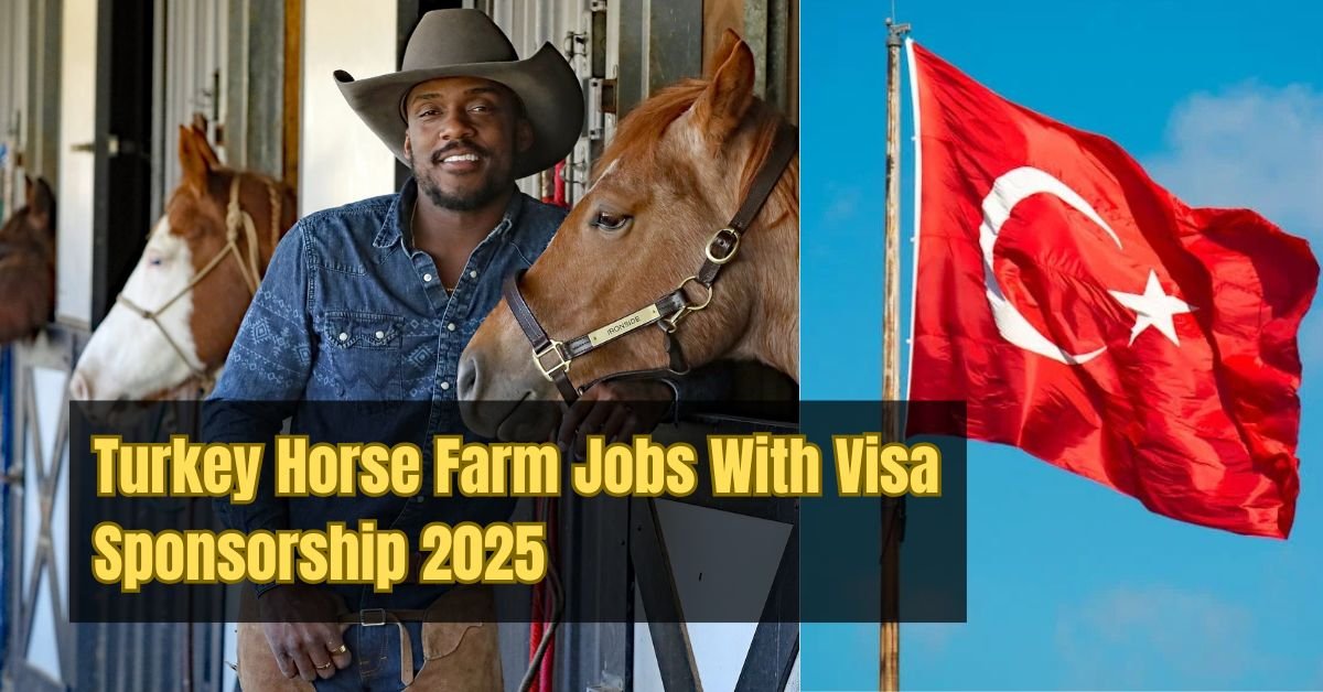 Turkey Horse Farm Jobs With Visa Sponsorship 2025