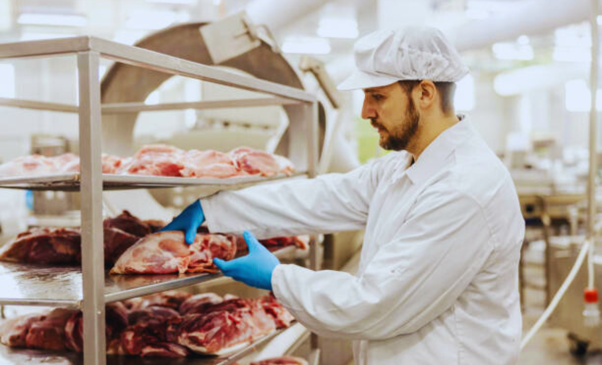 Meat Process Worker Jobs in New Zealand with Visa Sponsorship 2025: A Complete Guide 3 meat process worker jobs in New Zealand with visa sponsorship