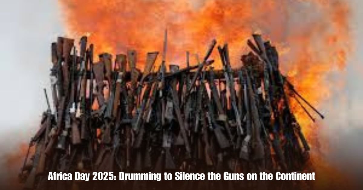 6 on Private Jet Presumed Dead After Crash Into San Diego Neighborhood 15