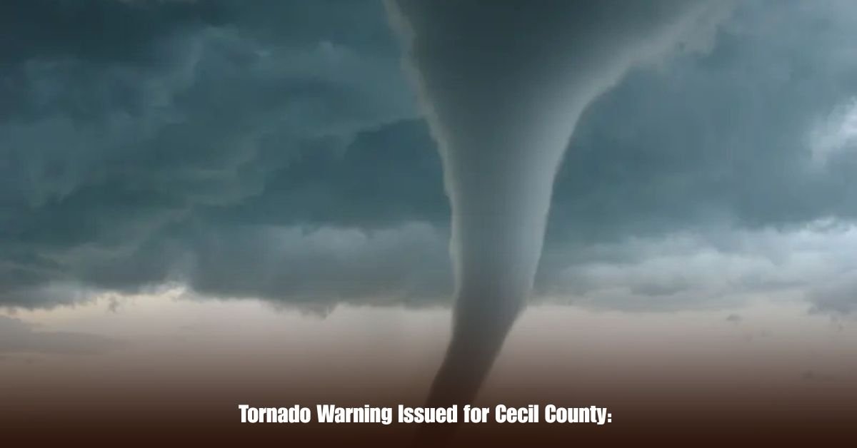 6 on Private Jet Presumed Dead After Crash Into San Diego Neighborhood 2025 05 31T102035.670