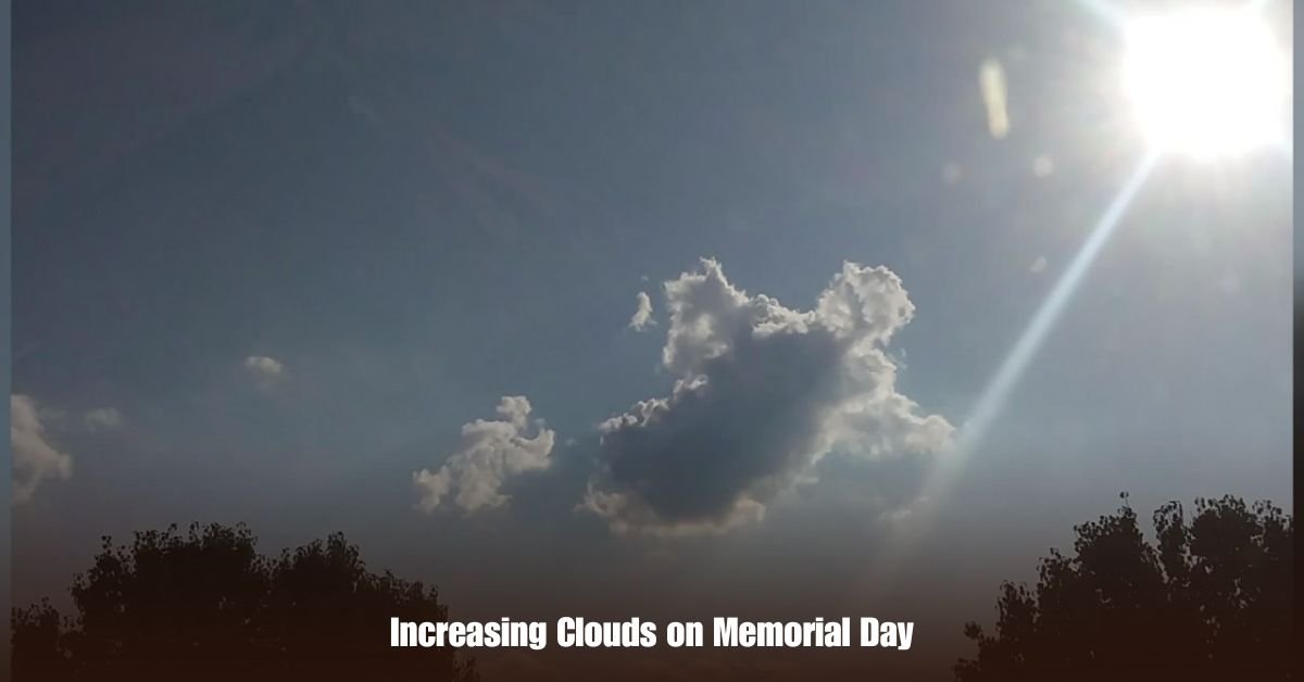 6 on Private Jet Presumed Dead After Crash Into San Diego Neighborhood 25 1