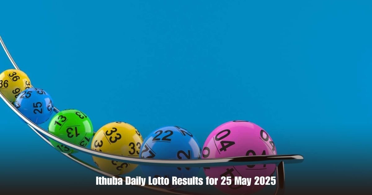 6 on Private Jet Presumed Dead After Crash Into San Diego Neighborhood 29 1