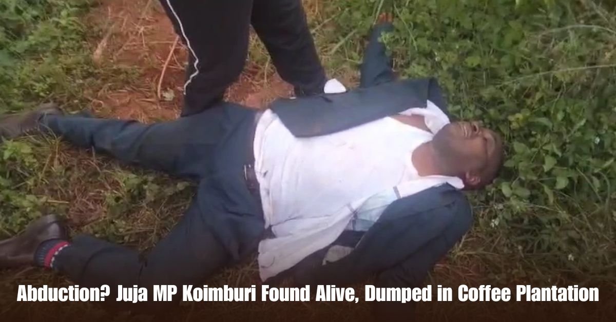 6 on Private Jet Presumed Dead After Crash Into San Diego Neighborhood 40