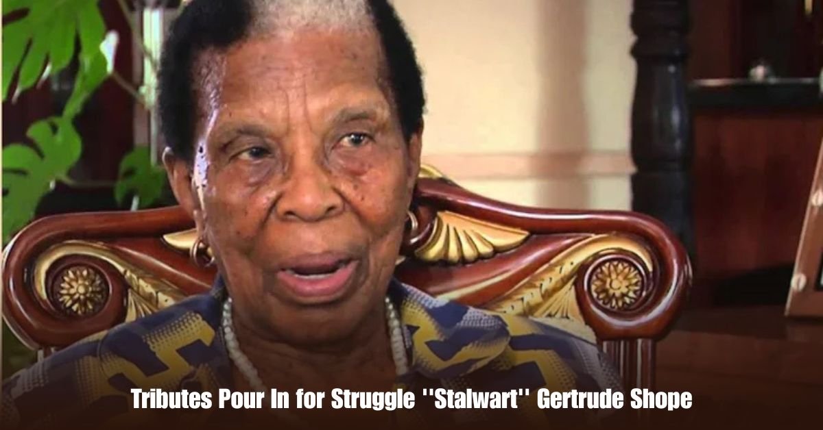 Tributes Pour In for Struggle ''Stalwart'' Gertrude Shope 2 6 on Private Jet Presumed Dead After Crash Into San Diego Neighborhood 8