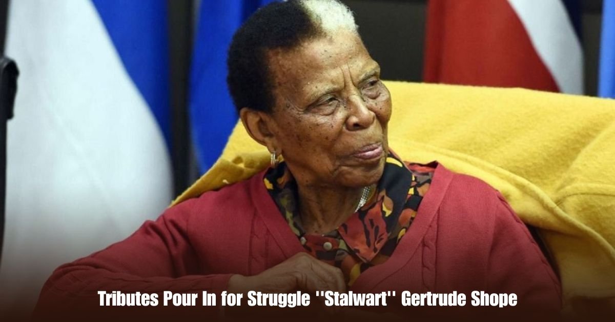 6 on Private Jet Presumed Dead After Crash Into San Diego Neighborhood 9