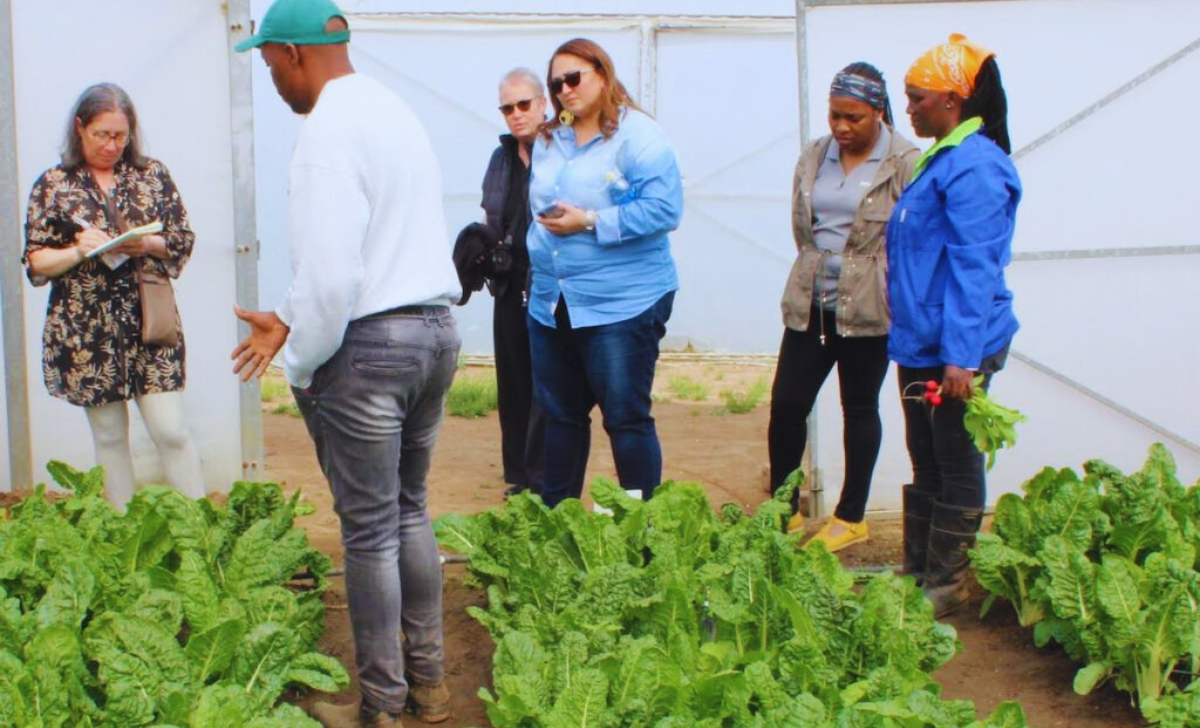 Agriculture Jobs in Australia with Visa Sponsorship 2025: Your Complete Guide 3 Agriculture Jobs in Australia with visa sponsorship 2025