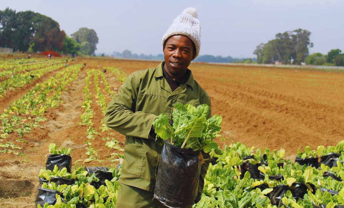 Agriculture Jobs in Australia with Visa Sponsorship 2025: Your Complete Guide 2 Agriculture Jobs in Australia with visa sponsorship 2025