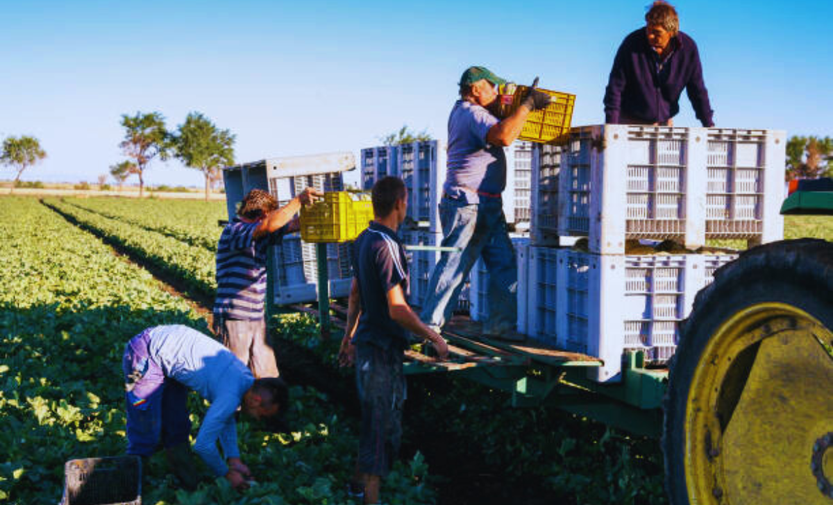 Agriculture Jobs in Italy with Visa Sponsorship 2025 2 Agriculture Jobs in Italy with Visa Sponsorship 2025