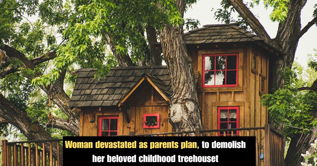 Woman devastated as parents plan, to demolish her beloved childhood treehouse 2 Aunt Refuses to Babysit during Sister in Laws surprise vacationfamily drama goes viral 7