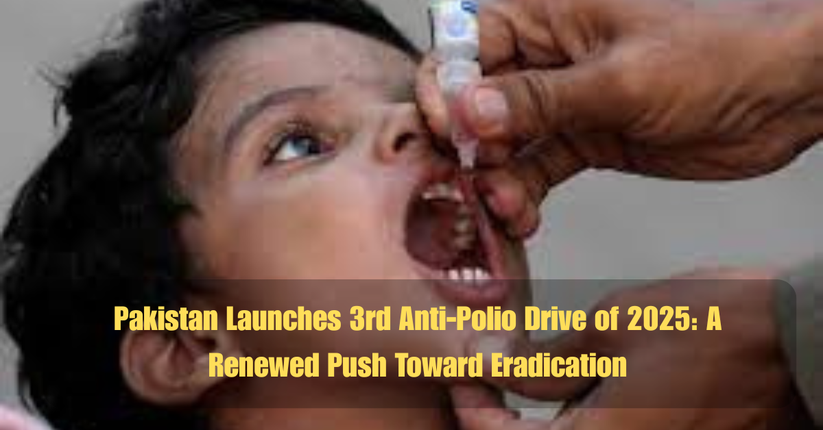 Bilawal Announces PPP Rally in Peshawar Against Indian Aggressiong 10