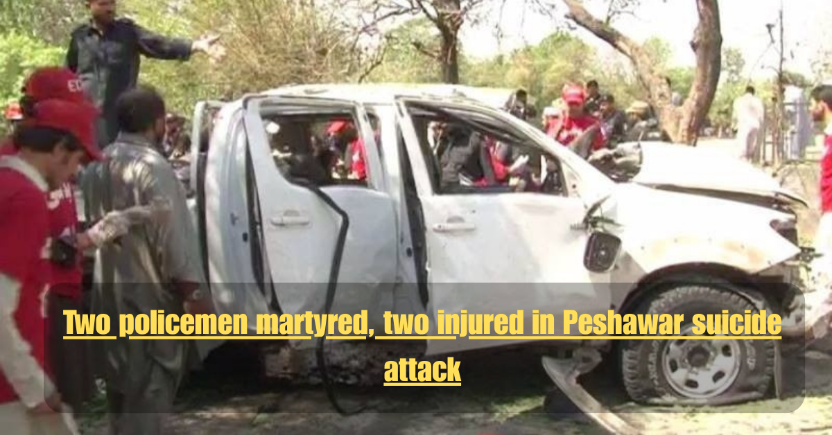 Bilawal Announces PPP Rally in Peshawar Against Indian Aggressiong 3