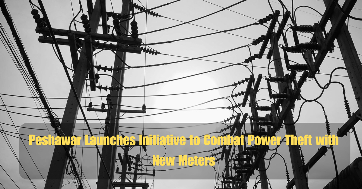 Bilawal Announces PPP Rally in Peshawar Against Indian Aggressiong 5