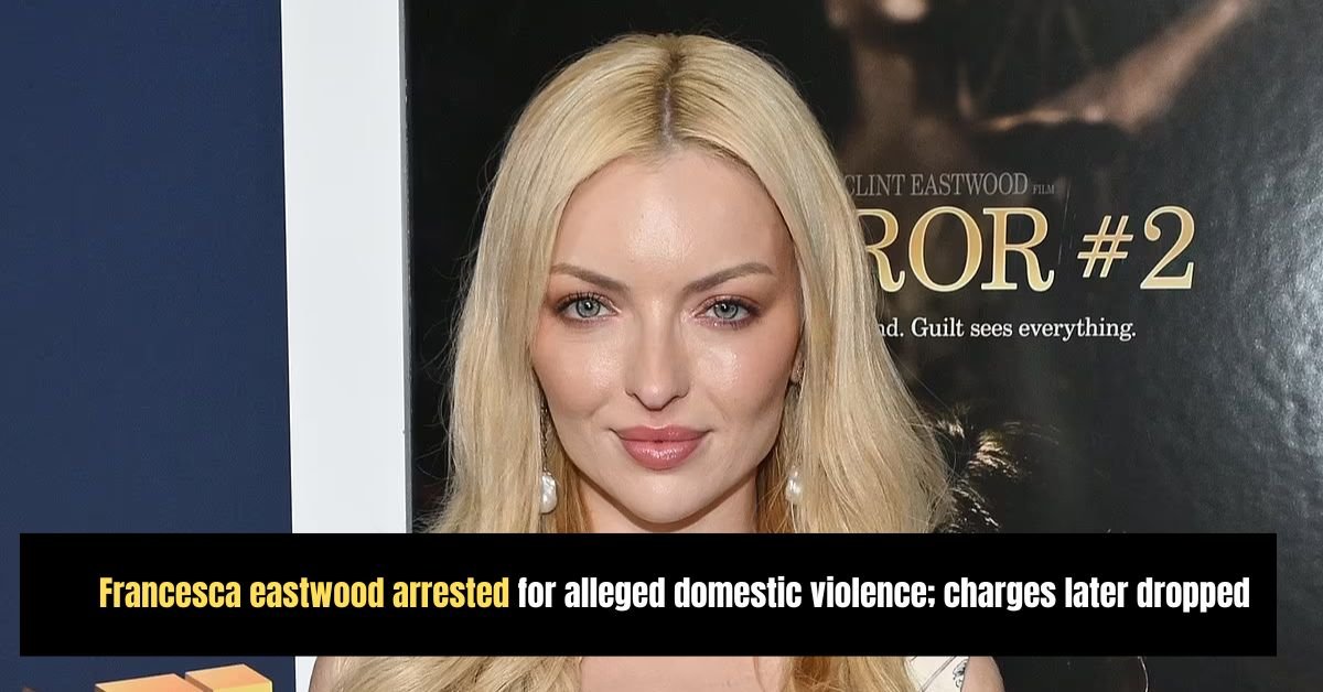 Francesca eastwood arrested for alleged domestic violence; charges later dropped 2 Diddys disturbing courtroom revelations applesauce burgers and abuse allegations shock manhattan trial 21