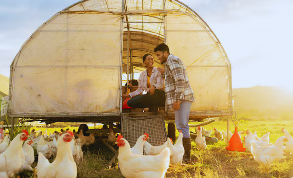Egg Collector and Farm Worker Jobs Turkey with Visa Sponsorship 2025 3 Egg Collector and Farm Worker Jobs Turkey with Visa Sponsorship 2025