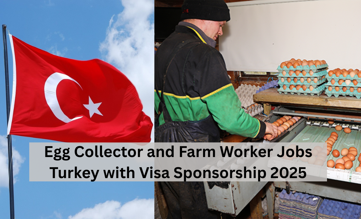 Egg Collector and Farm Worker Jobs Turkey with Visa Sponsorship 2025