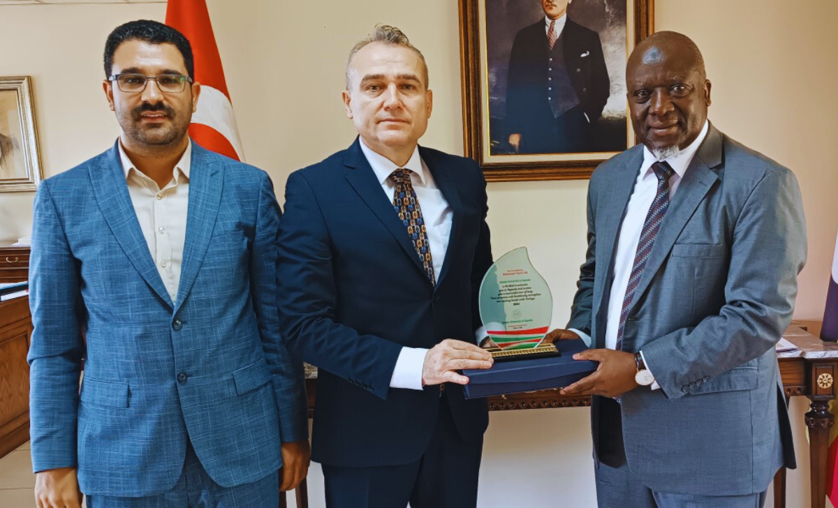 Embassy Jobs in Turkey with Visa Sponsorship 2025: A Complete Guide 3 Embassy Jobs in Turkey with visa sponsorship 2025