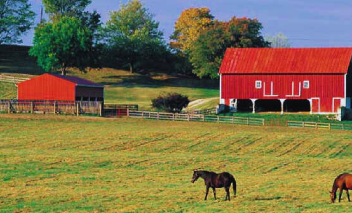 Farm Jobs in USA with Free Visa Sponsorship 2025: Your Ultimate Guide 3 Farm Jobs in USA with free visa sponsorship 2025