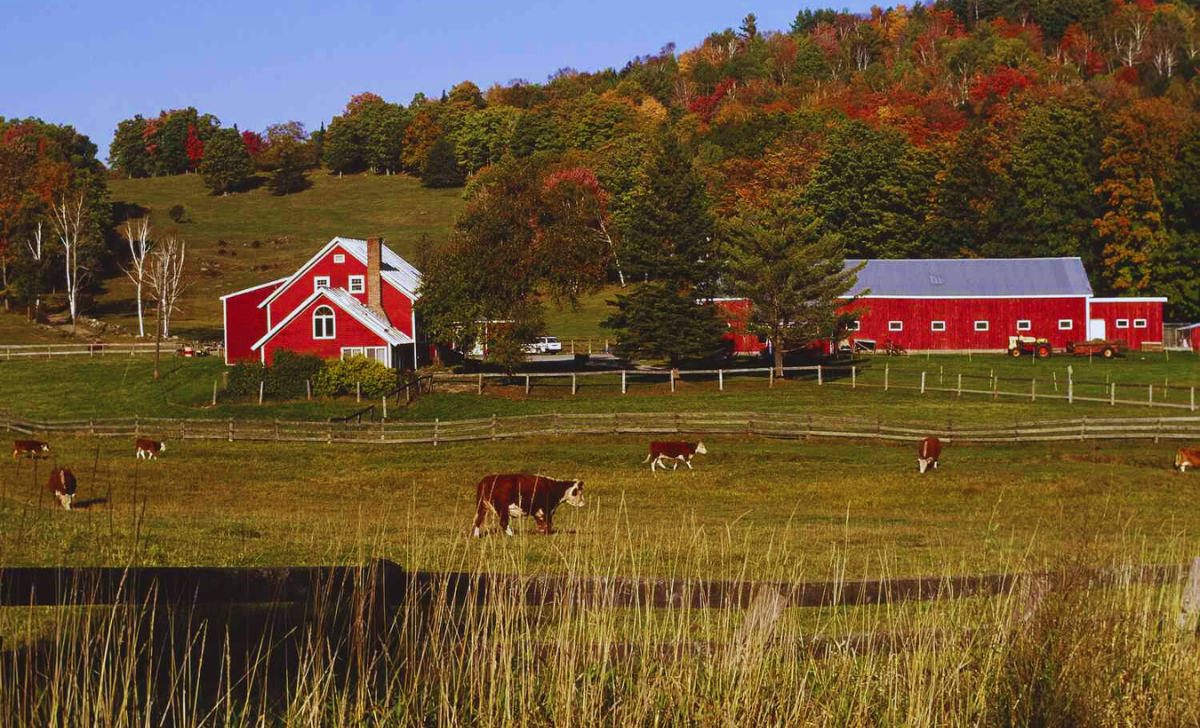Farm Jobs in USA with Free Visa Sponsorship 2025: Your Ultimate Guide 2 Farm Jobs in USA with free visa sponsorship 2025