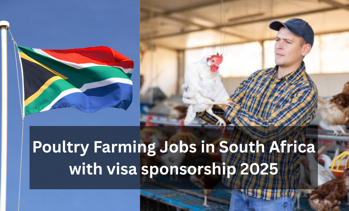 Poultry Farming Jobs in South Africa with visa sponsorship 2025