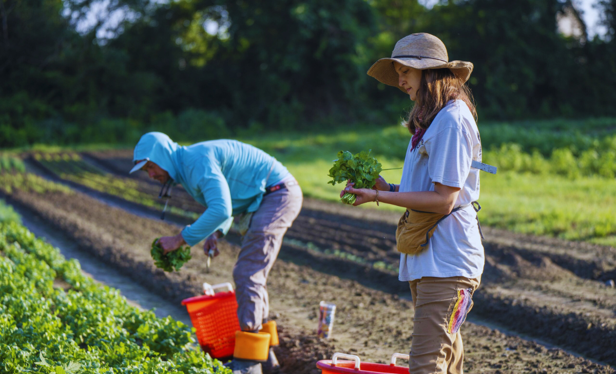 Farmer Jobs in Canada with Visa Sponsorship 2025: The Complete Guide for Aspiring Farm Workers 3 Farmer Jobs in Canada with Visa Sponsorship 2025