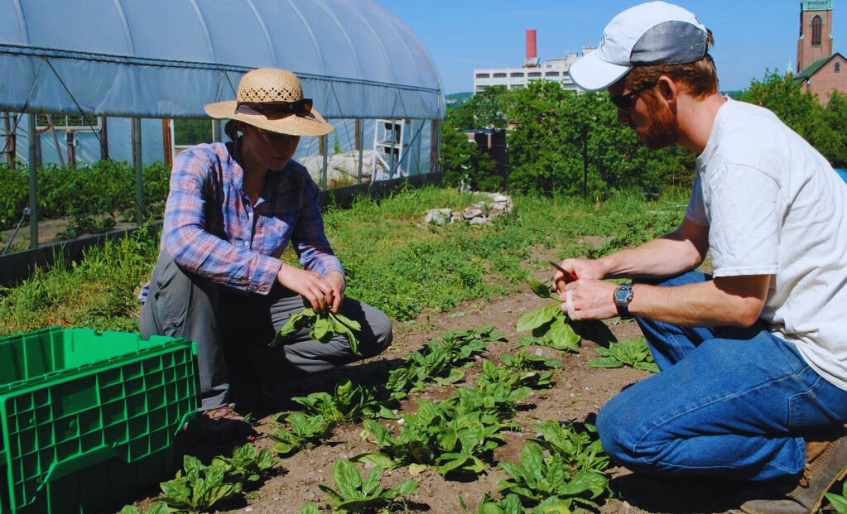 Gardening Assistant Jobs in Australia with Visa Sponsorship – 2025 Guide 2 Gardening Assistant Jobs in Australia with Visa Sponsorship – 2025