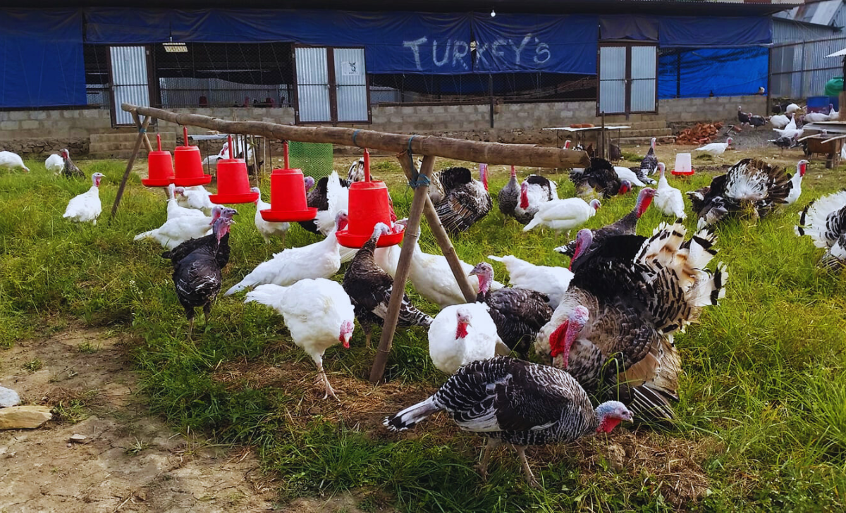 Assistant Farm Jobs in Turkey with Visa Sponsorship 2025: Your Complete Guide to Working in Agriculture 3 Assistant Farm Jobs in Turkey with Visa Sponsorship 2025