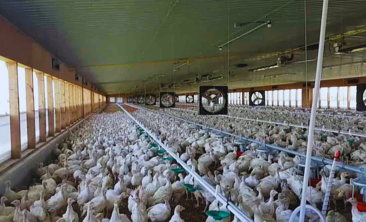 Assistant Farm Jobs in Turkey with Visa Sponsorship 2025: Your Complete Guide to Working in Agriculture 2 Assistant Farm Jobs in Turkey with Visa Sponsorship 2025