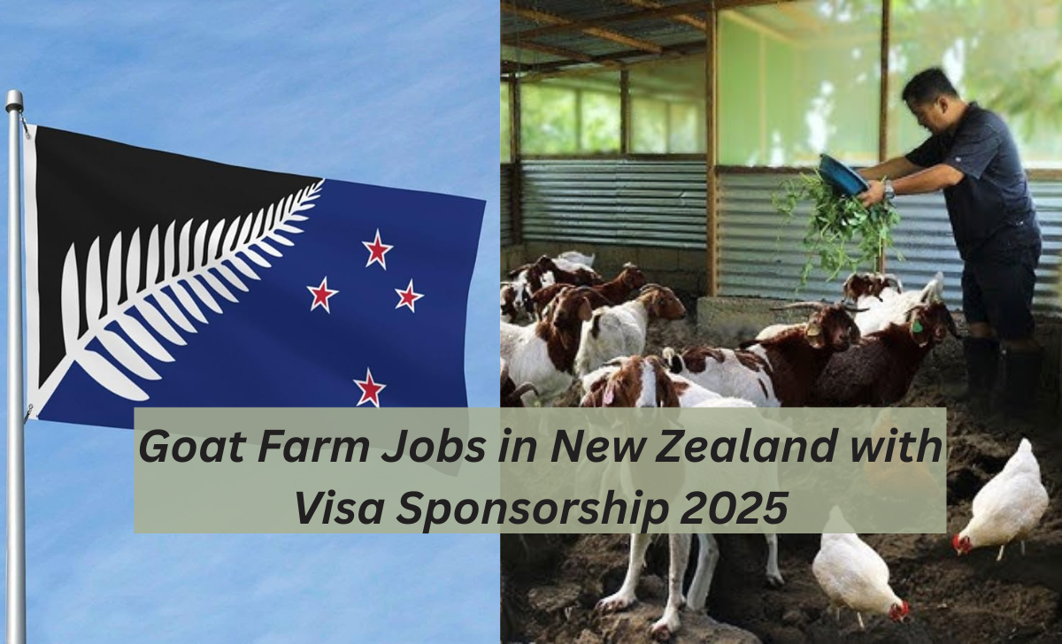 Goat Farm Jobs in New Zealand with Visa Sponsorship 2025