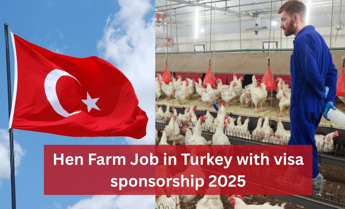 Hen Farm Job in Turkey with visa sponsorship 2025