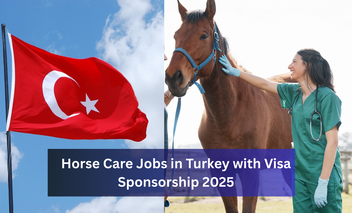 Horse Care Jobs in Turkey with Visa Sponsorship 2025