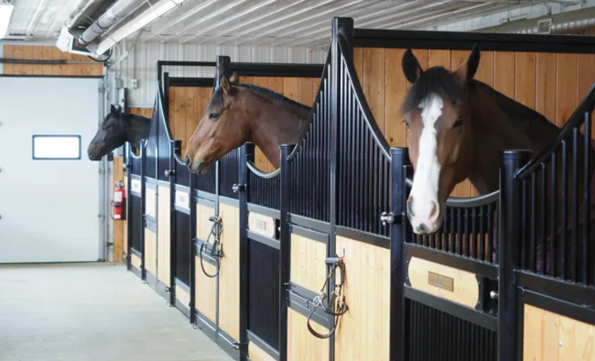 Horse Farm Jobs in Canada with Visa Sponsorship 2025