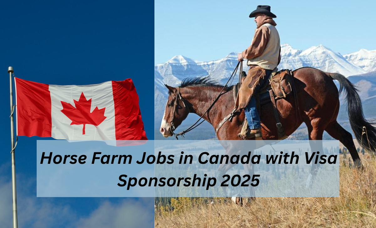 Horse Farm Jobs in Canada with Visa Sponsorship 2025