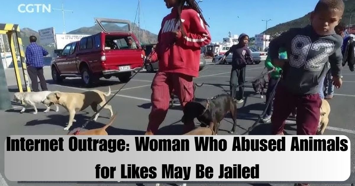 Internet Outrage: Woman Who Abused Animals for Likes May Be Jailed