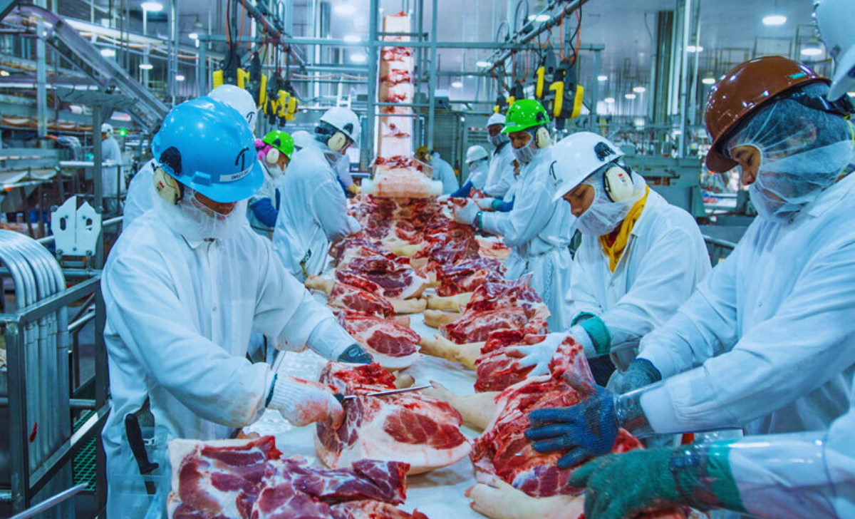 Meat Processing Worker Jobs with Visa Sponsorship in 2025: Global OpportunitiesBackpacker Job Board 2 Meat Processing Worker Jobs with Visa Sponsorship in 2025