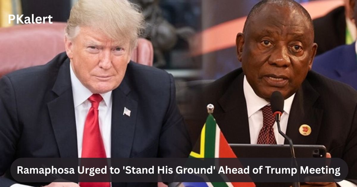 Ramaphosa Urged to 'Stand His Ground' Ahead of Trump Meeting 2 PKalert 1 1