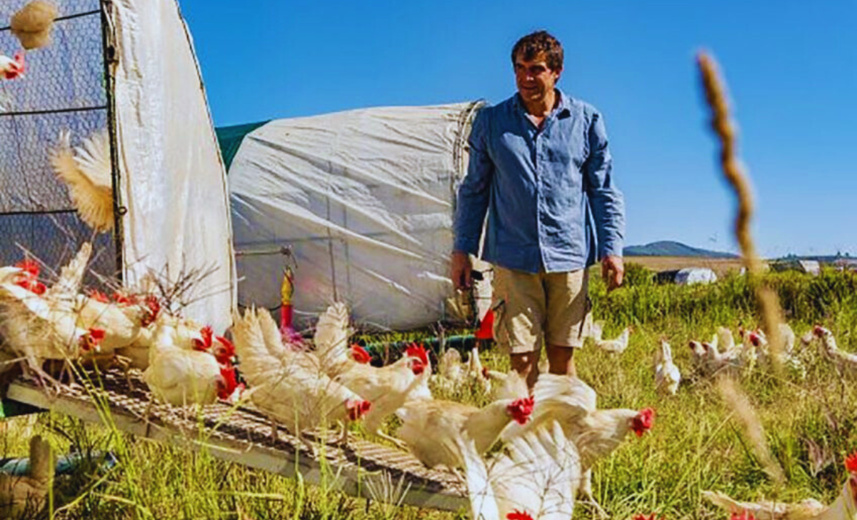 Poultry Farm Worker Jobs in Spain with Visa Sponsorship 2025: Your Path to a Rewarding Career 2 Poultry Farm Worker Jobs in Spain with Visa Sponsorship 2025