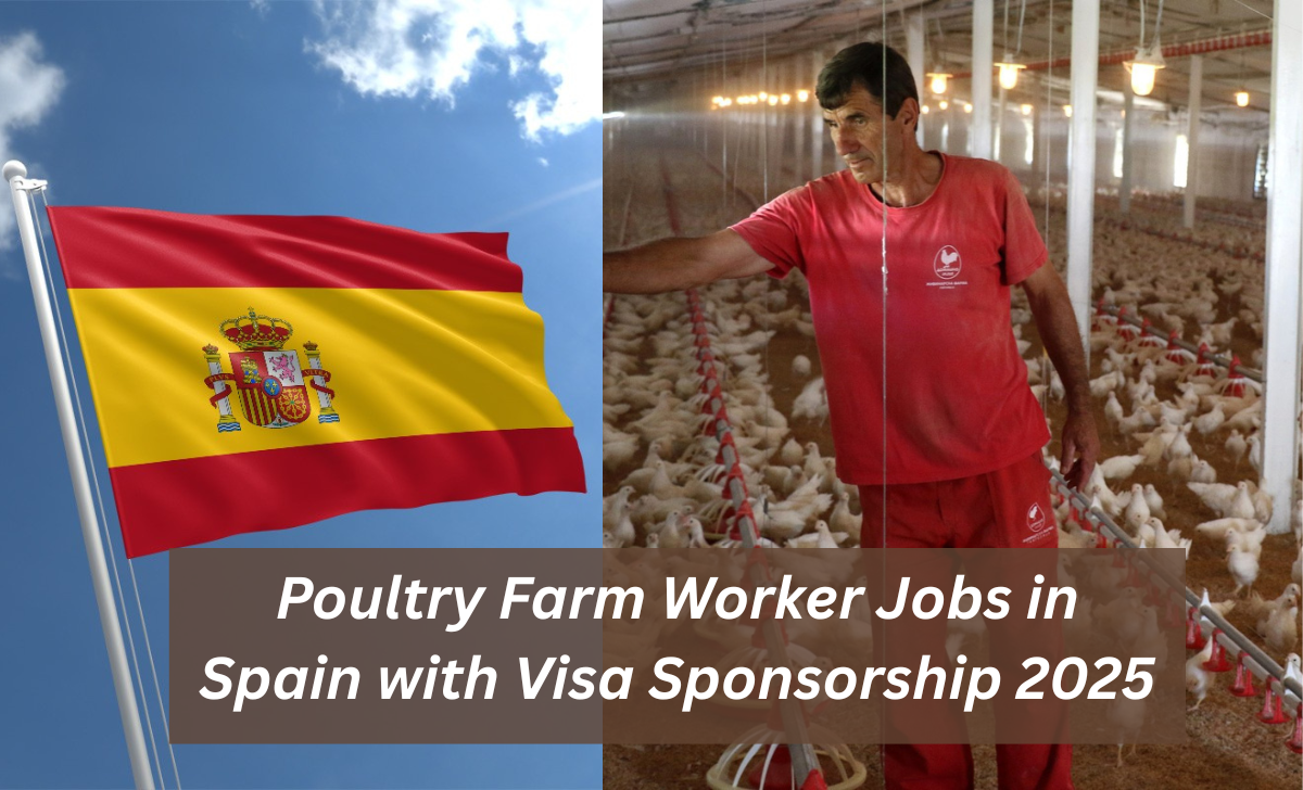 Poultry Farm Worker Jobs in Spain with Visa Sponsorship 2025