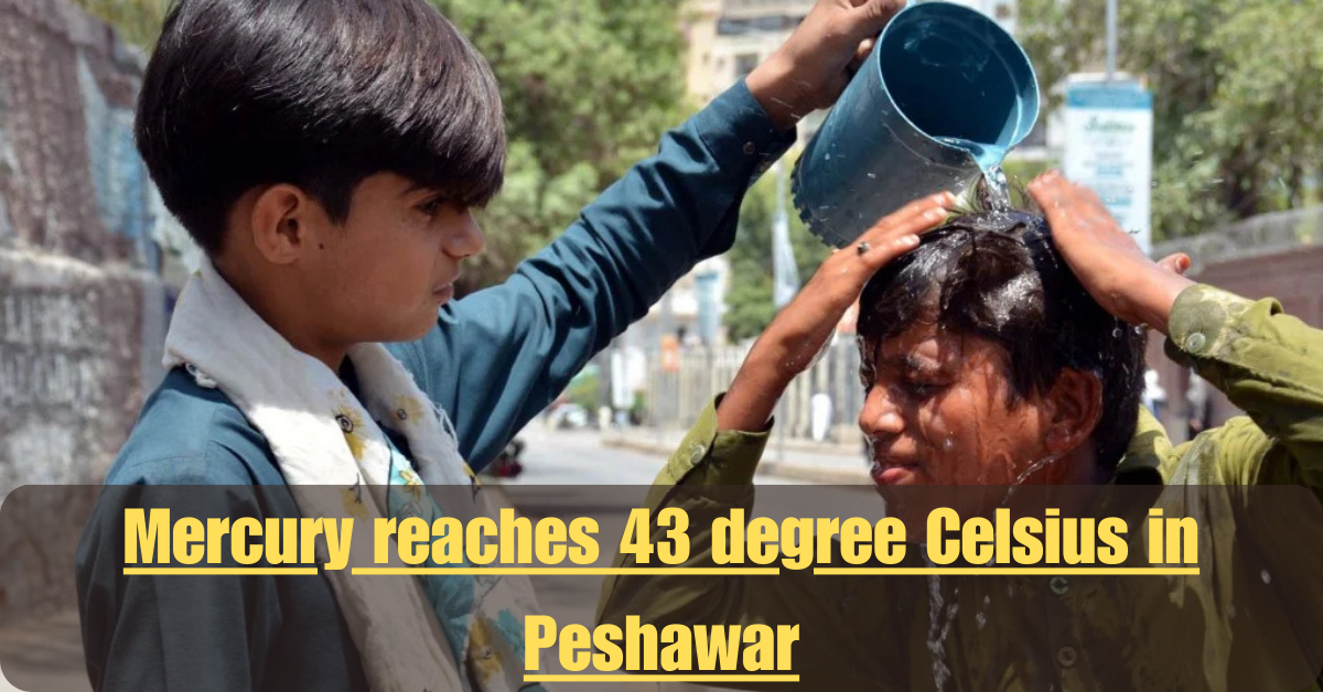 Rs100 Prize Bond Draw May 2025 See the Top Winners and Full Results from Sialkots 50th Lucky Draw 52