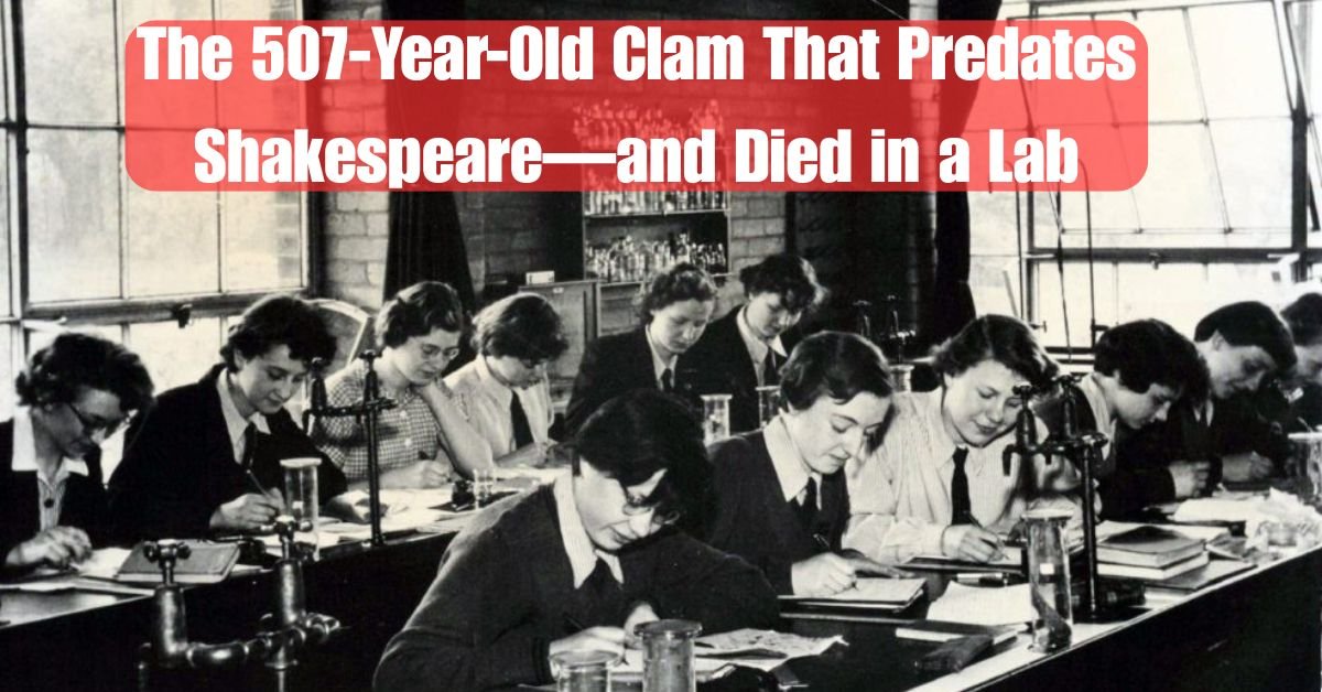 The 507-Year-Old Clam That Predates Shakespeare—and Died in a Lab