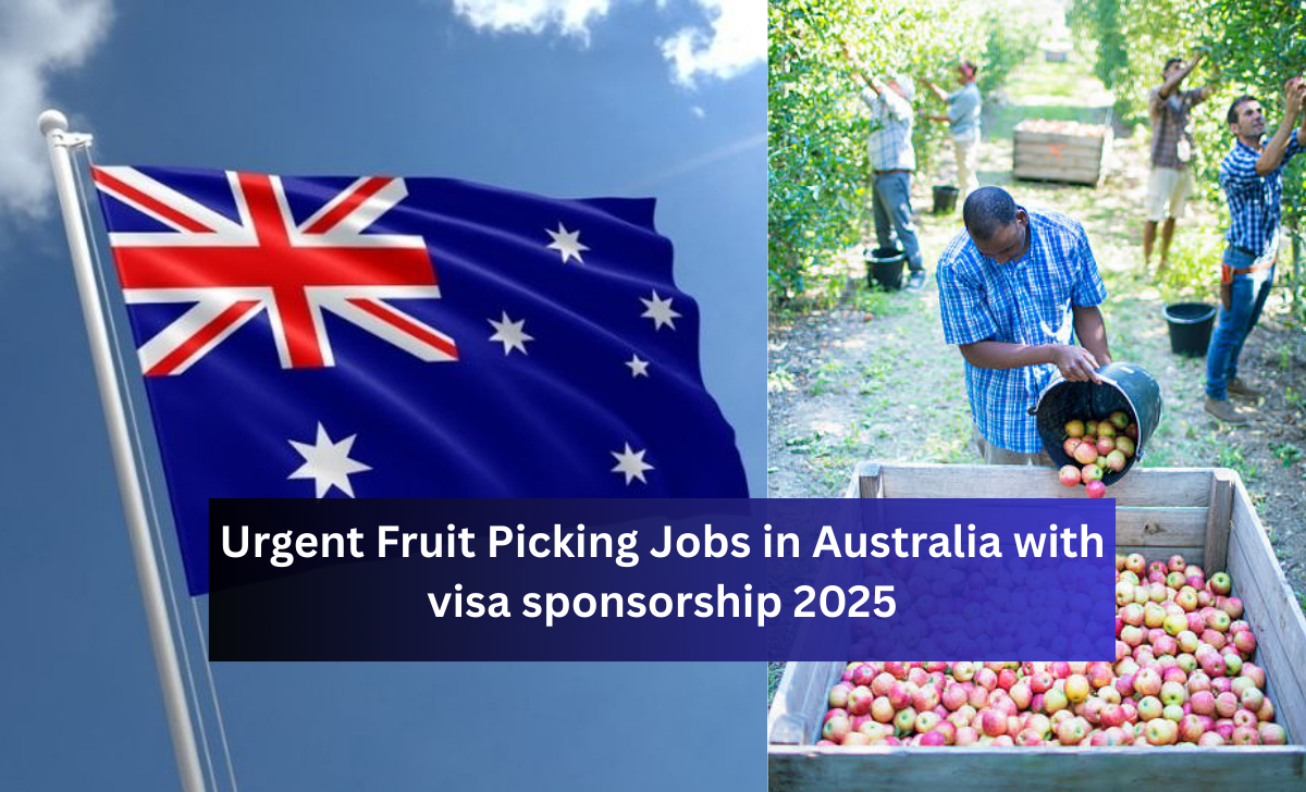 Urgent Fruit Picking Jobs in Australia with visa sponsorship 2025