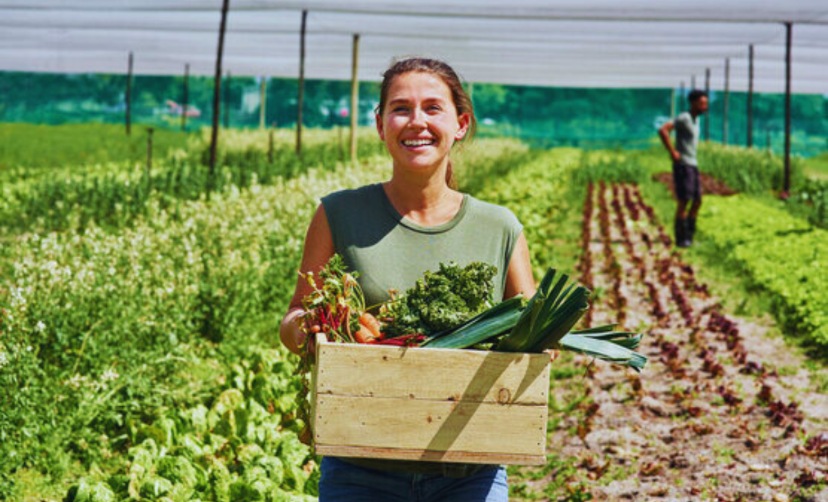 Vegetable Farm Jobs in Canada with Visa Sponsorship 2025: A Comprehensive Guide 3 Vegetable Farm Jobs in Canada with Visa Sponsorship 2025