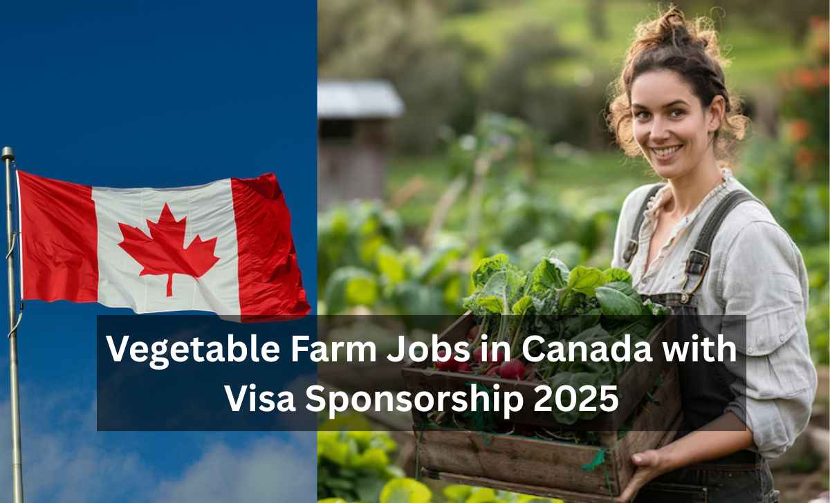 Vegetable Farm Jobs in Canada with Visa Sponsorship 2025