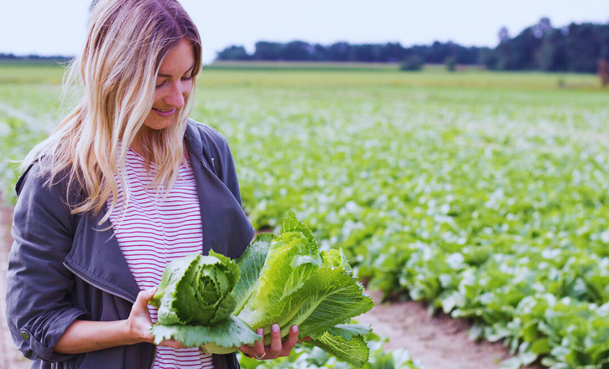 Vegetable Farm Jobs in Canada with Visa Sponsorship 2025: A Comprehensive Guide 2 Vegetable Farm Jobs in Canada with Visa Sponsorship 2025