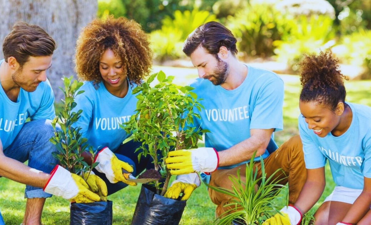 Volunteer Jobs in Germany with Visa Sponsorship 2025: A Life-Changing Opportunity for Foreigners 3 Volunteer Jobs in Germany with visa sponsorship 2025