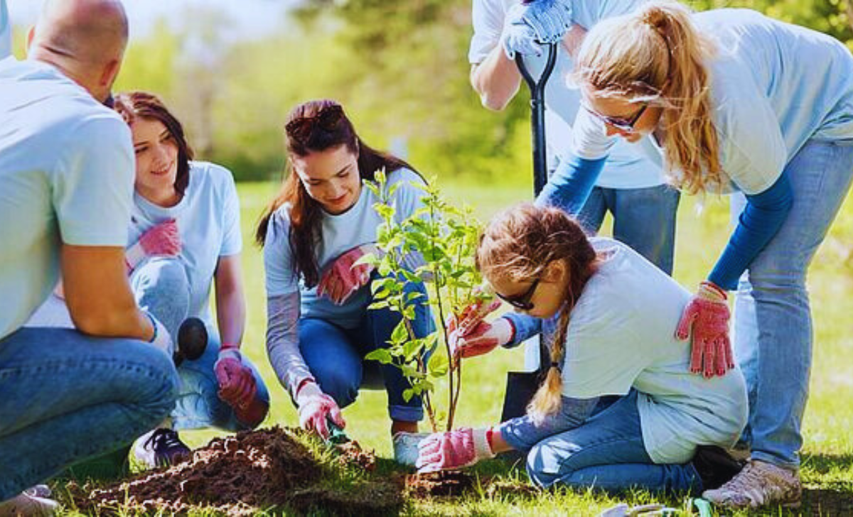 Volunteer Jobs in UK with Visa Sponsorship 2025 3 Volunteer Jobs in UK with Visa Sponsorship 2025