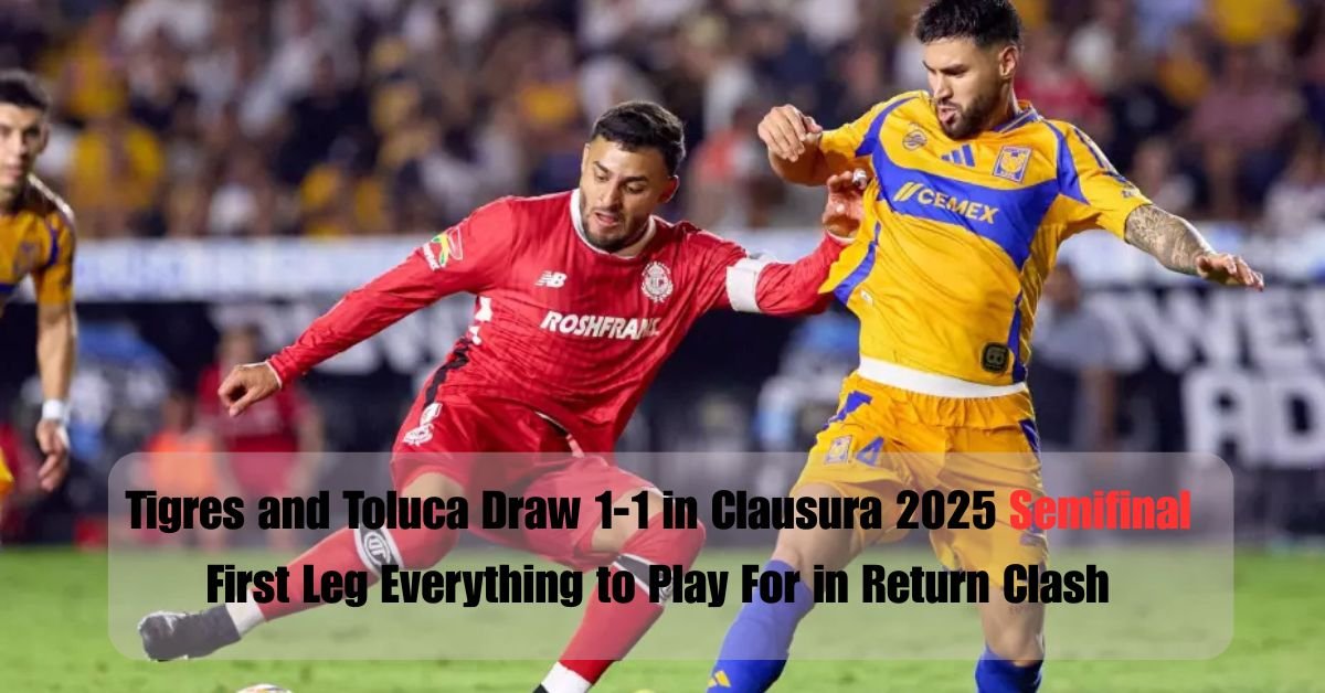 Your paragraph text 5 1